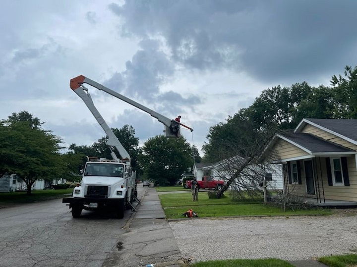 Best Tree Service in Murfreesboro TN